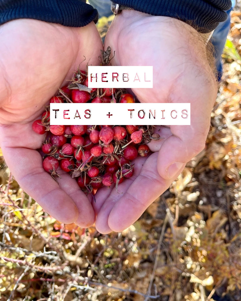 Herbal Tea + Tonics