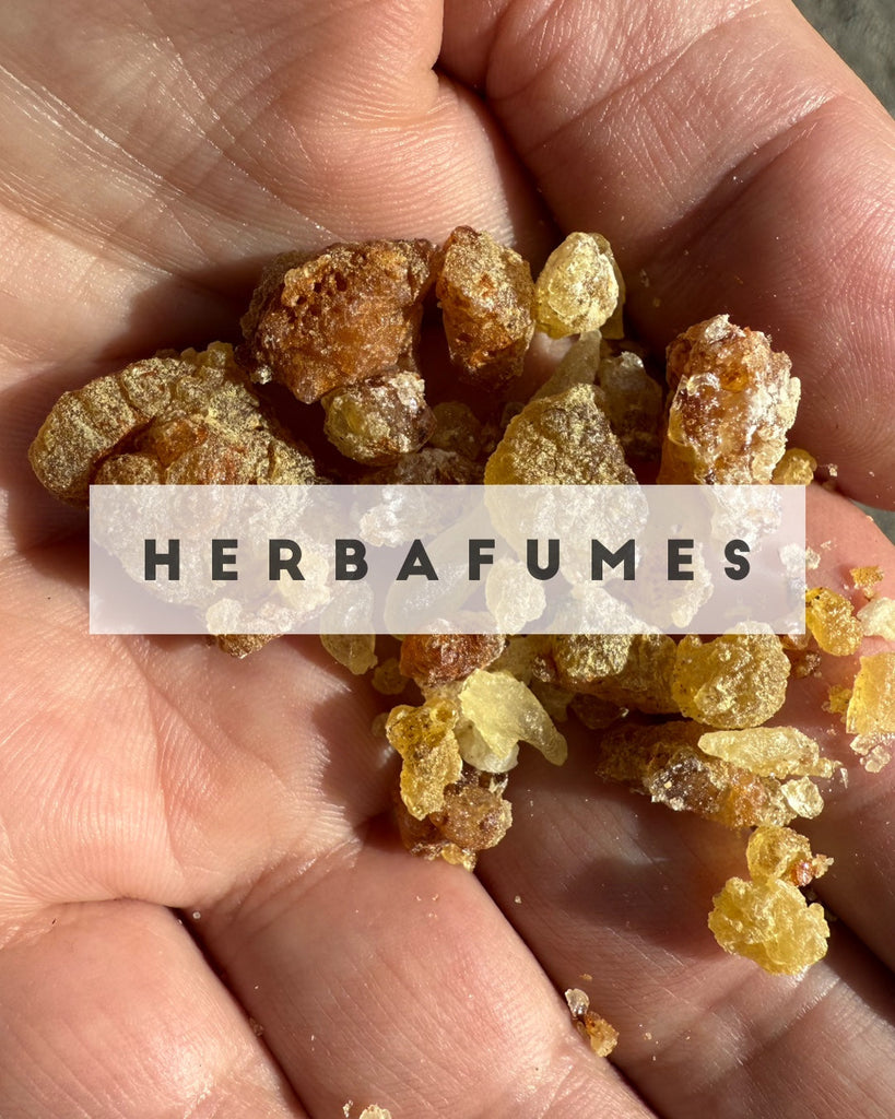 Herbafume || Botanical Perfumes aligned with natures rhythm
