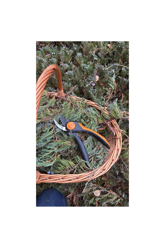 Dark Slate Gray Juniper & Cedar [Field Note] Hydrosol
