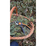Juniper & Cedar [Field Note] Hydrosol