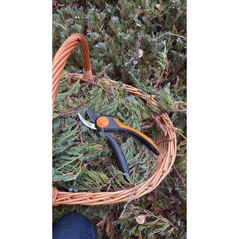 Juniper & Cedar [Field Note] Hydrosol