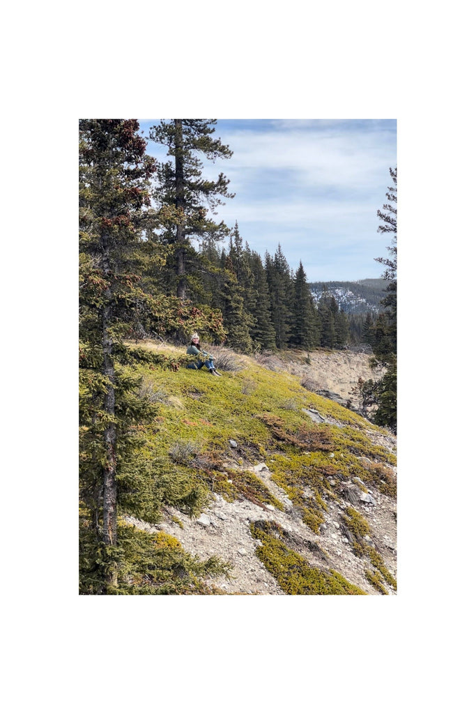 Dim Gray Healing Forest || Bath + Massage Oil