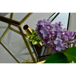 Lilac || Herbafume