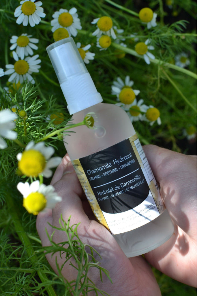 Dark Slate Gray Chamomile Hydrosol