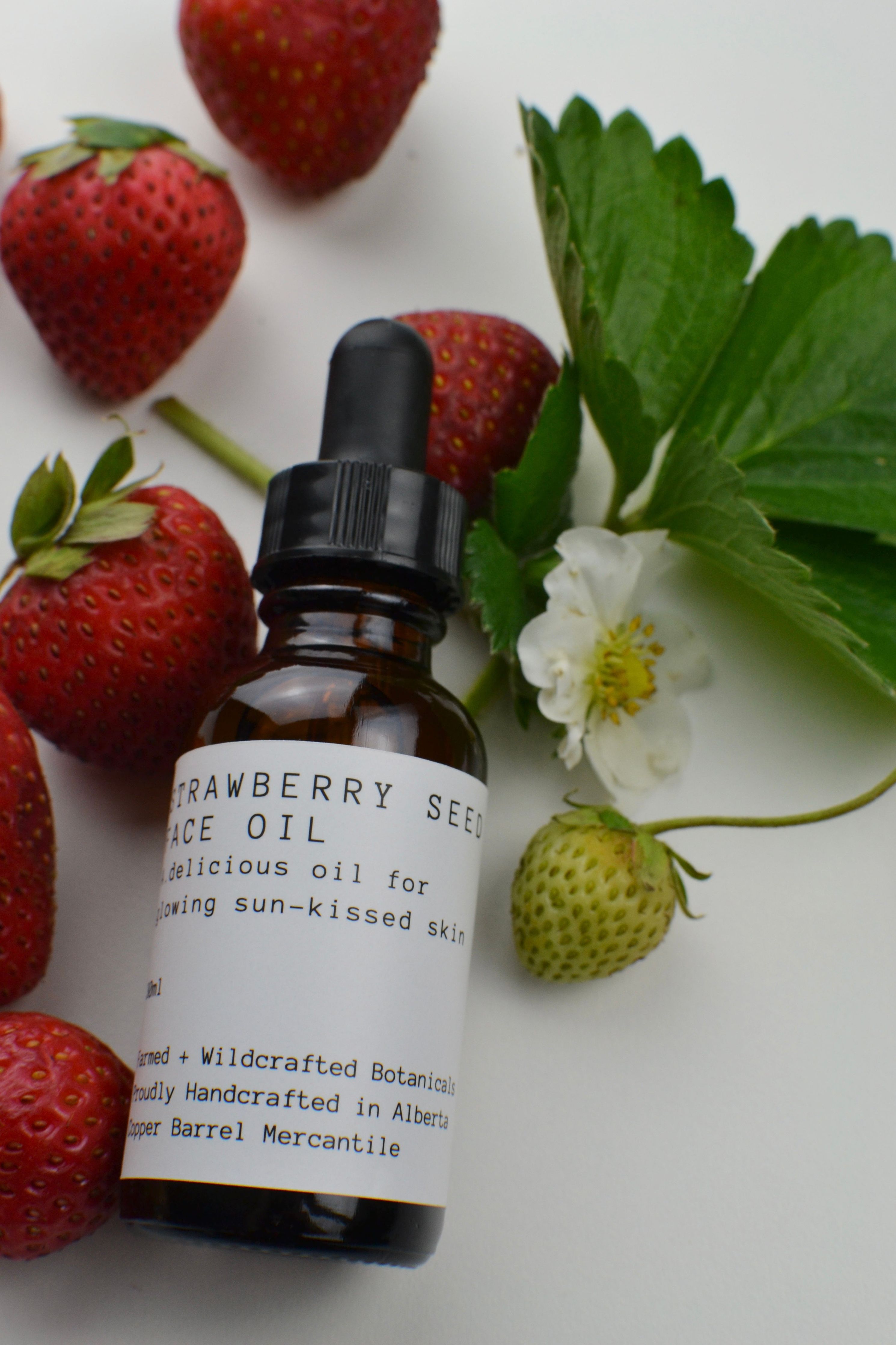 strawberry seed oil for hair Strawberry || Botanical Oil – Copper Barrel Mercantile