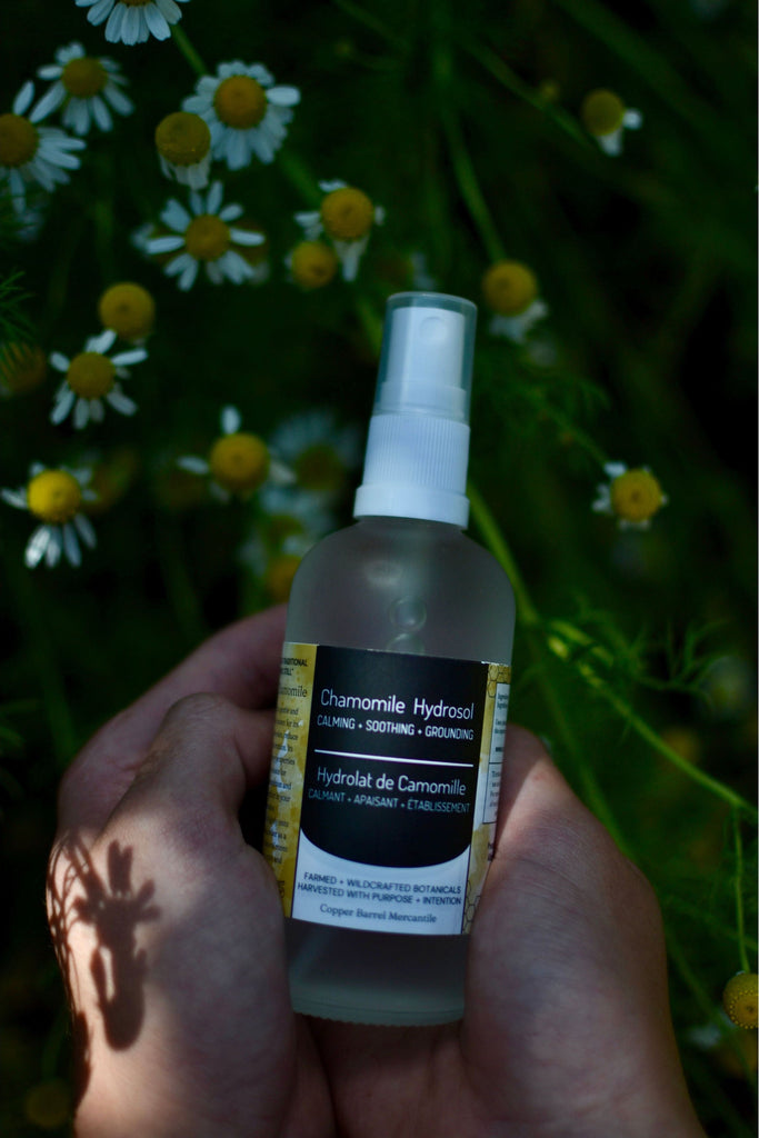 Black Chamomile Hydrosol