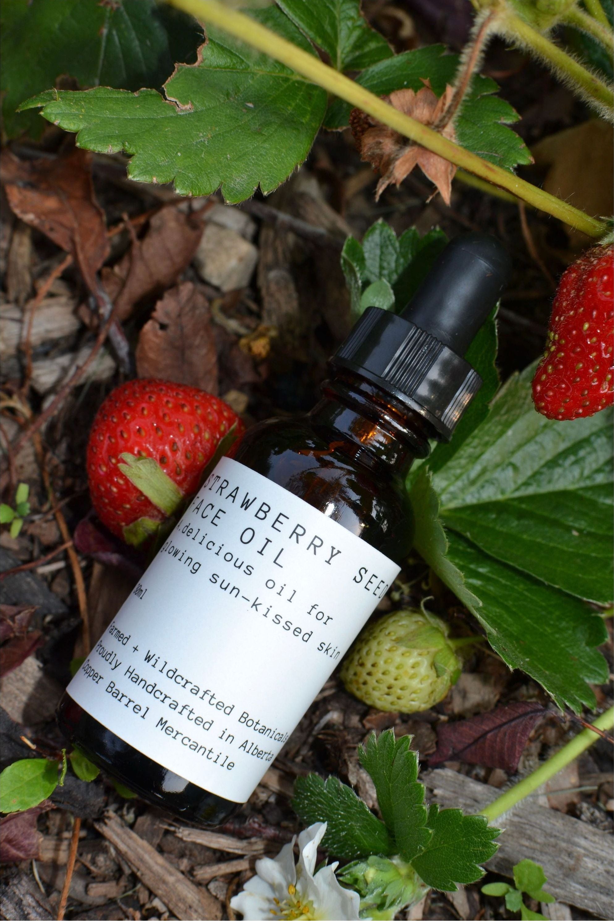 strawberry seed oil for face Strawberry || Botanical Oil – Copper Barrel Mercantile