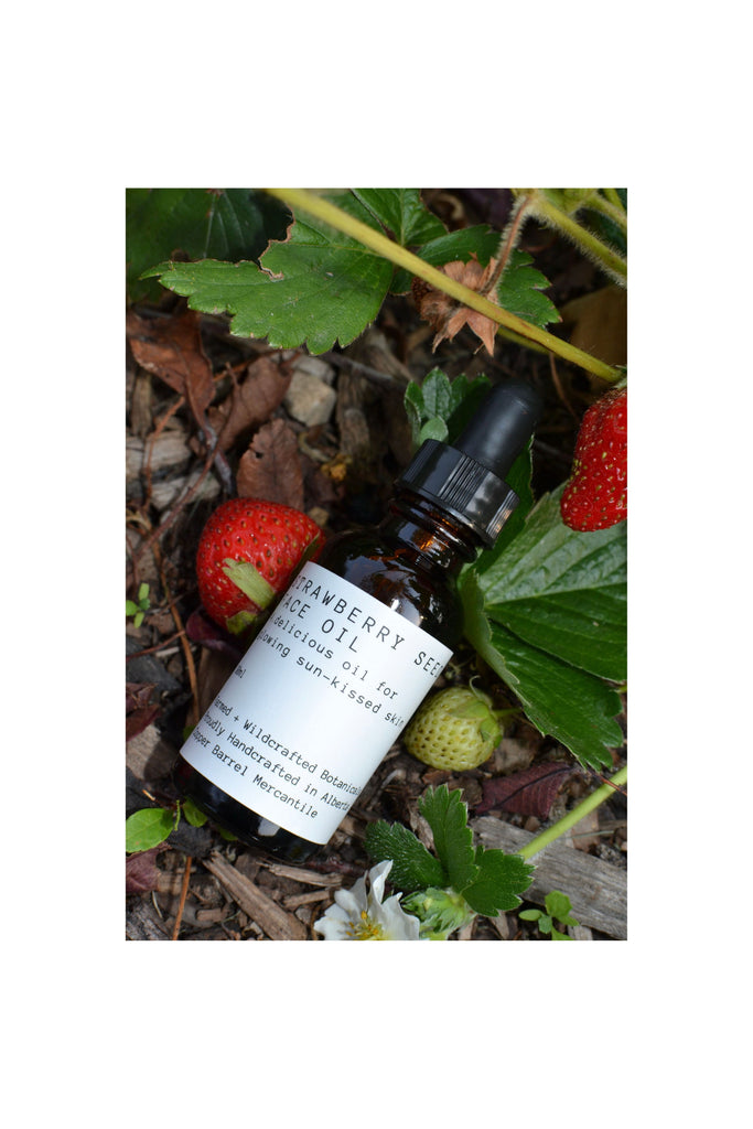 Dark Slate Gray Strawberry || Botanical Oil