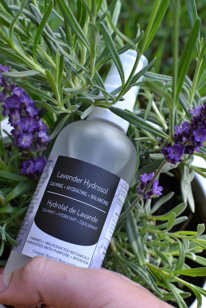 Dark Olive Green Lavender Hydrosol