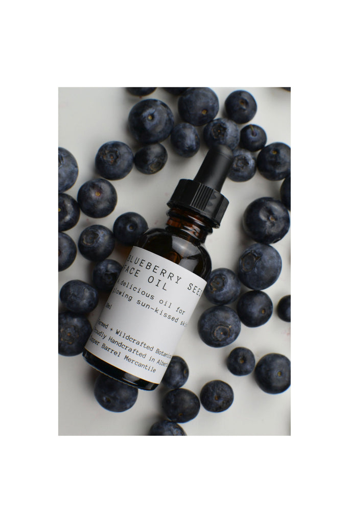 Gray Blueberry || Botanical Oil