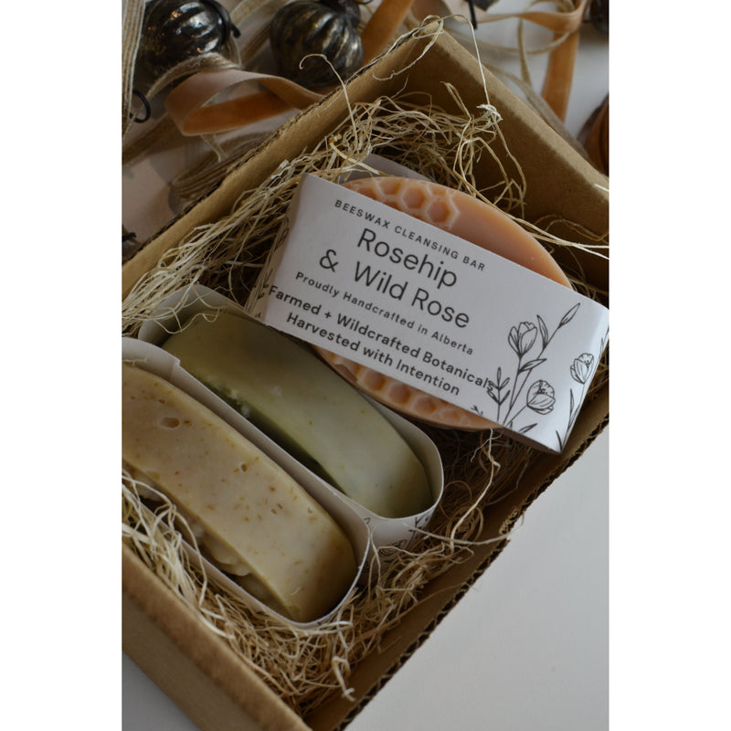 Infused Herbal Soap Bundle