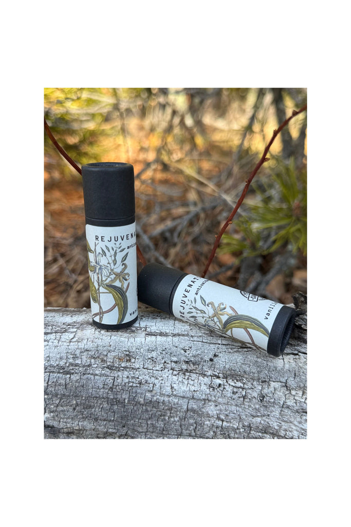 Dim Gray Vanilla Bean Lip Balm