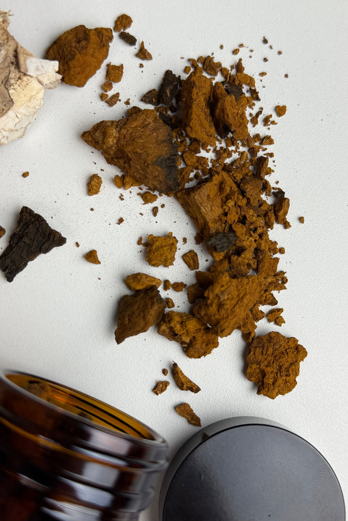Black Chaga Mushroom