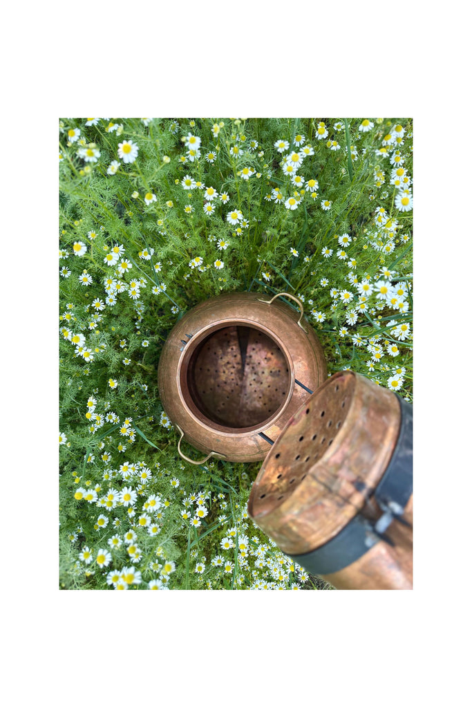 Dark Olive Green Chamomile Hydrosol