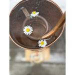 Chamomile Hydrosol