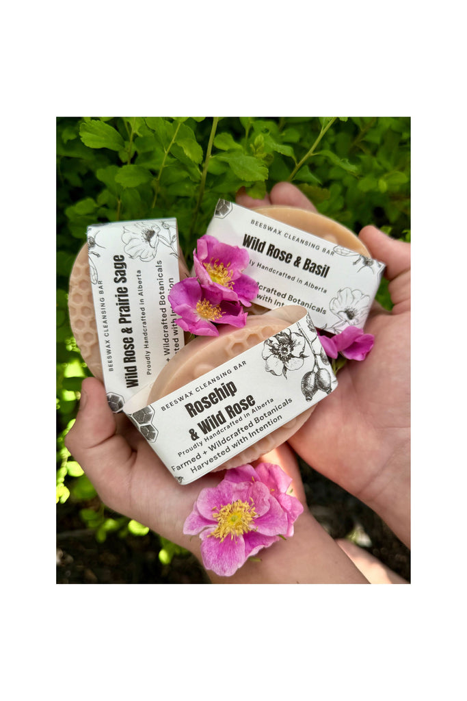 Rosy Brown Wild Rose & Basil Bar Soap