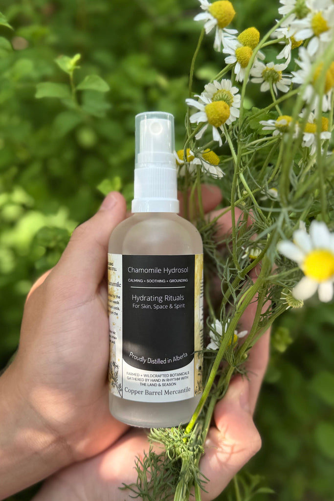 Dark Olive Green Chamomile Hydrosol