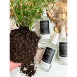 Rosemary Hydrosol
