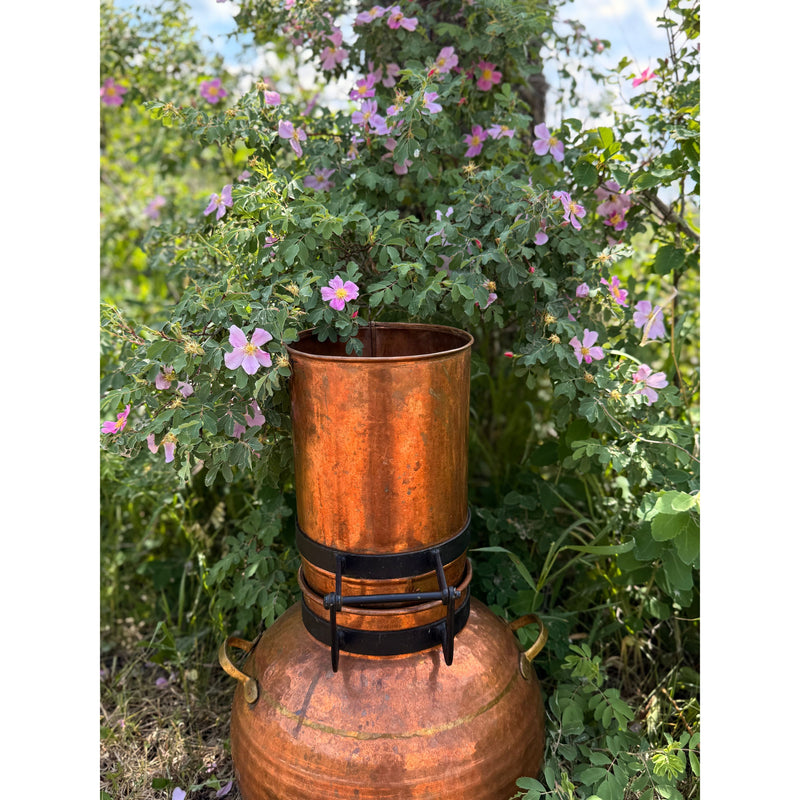 Wild Rose Hydrosol