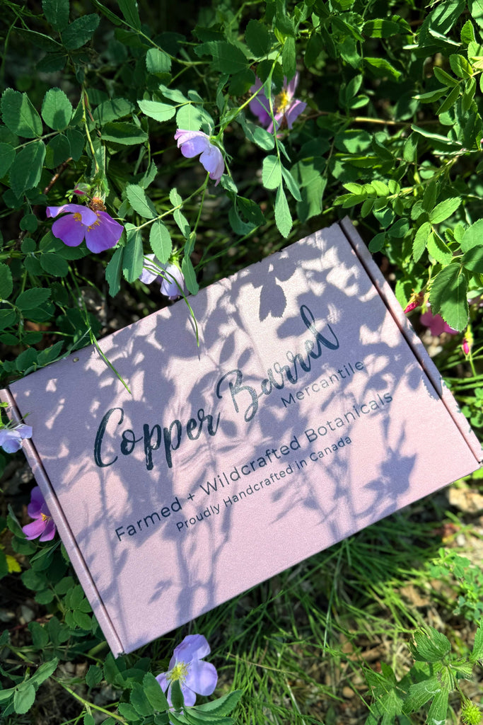 Light Gray Prairie Rose Bundle