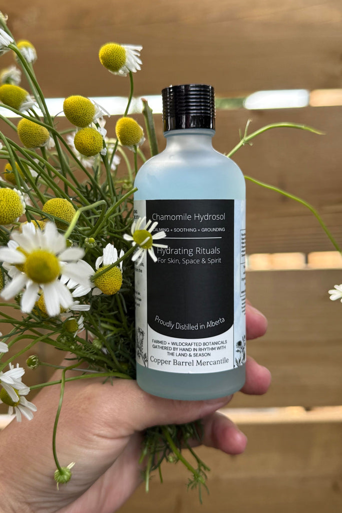 Dim Gray Chamomile Hydrosol