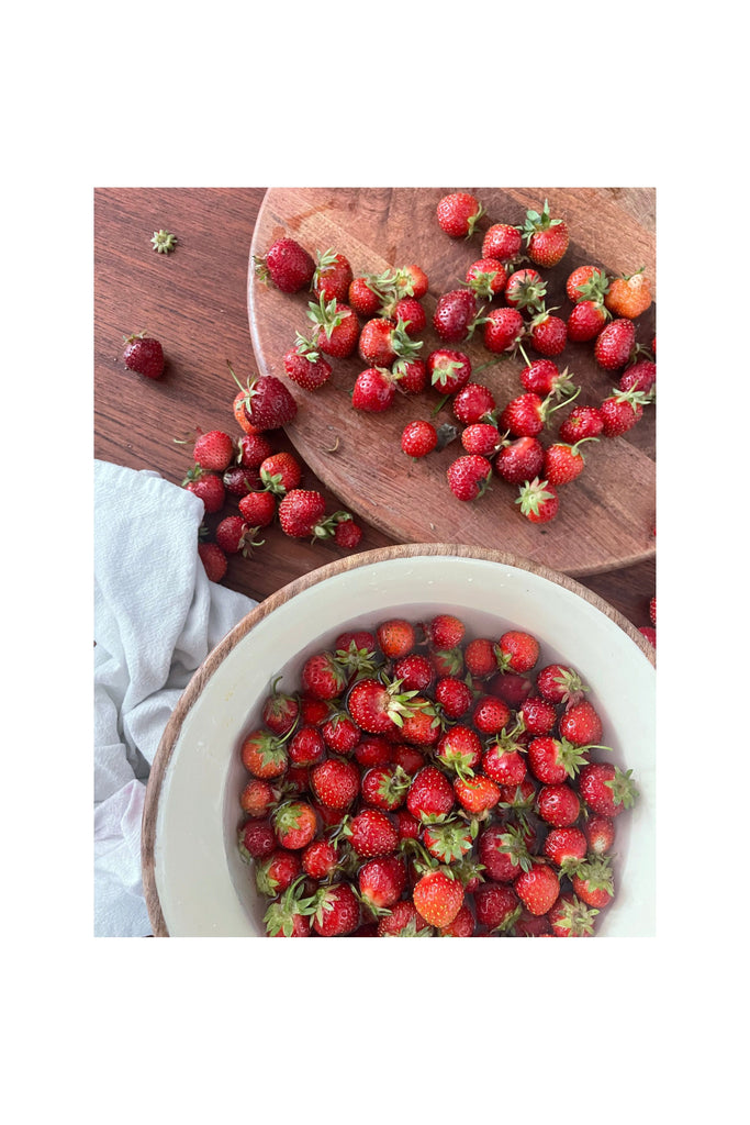 Sienna Strawberry || Botanical Oil