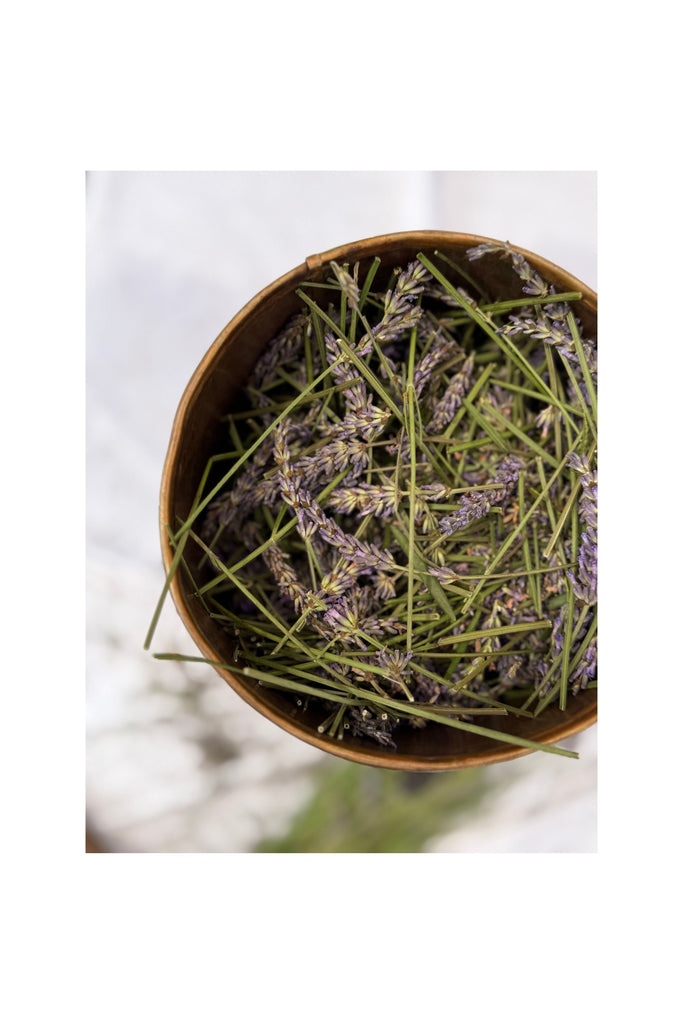 Light Gray Lavender Foaming Sugar Scrub