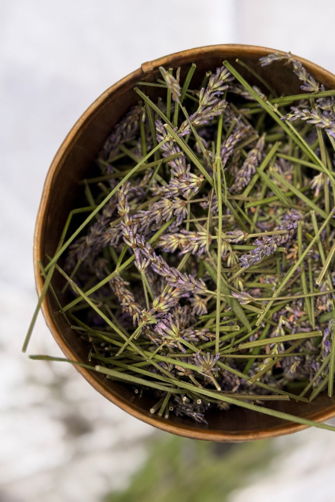 Light Gray Lavender Field Bundle