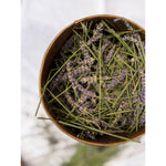 Lavender Hydrosol
