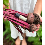 Cinnamon + Beetroot Lip Balm