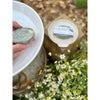 Fennel + Anise + Black Pepper Bar Soap