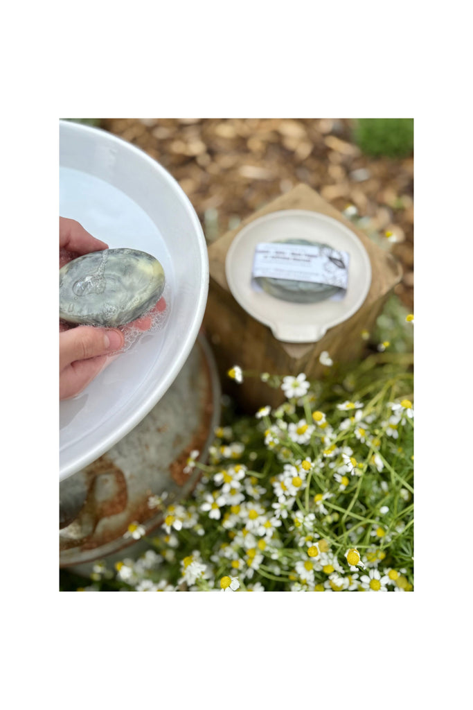 Dim Gray Fennel + Anise + Black Pepper Bar Soap