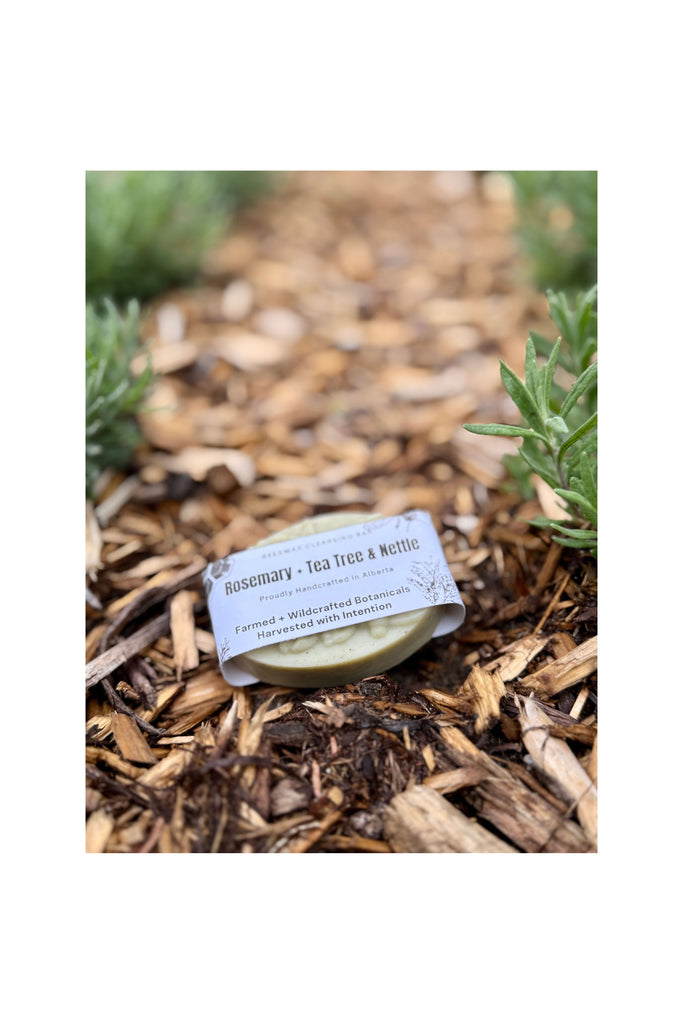 Rosy Brown Tea Tree + Rosemary & Nettle Bar Soap