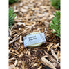 Spearmint & Kelp Soap