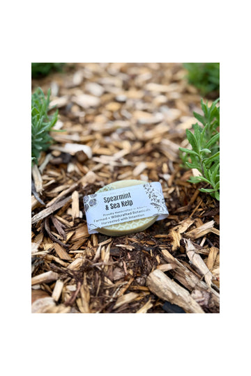 Rosy Brown Spearmint & Kelp Soap