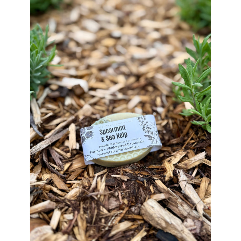Spearmint & Kelp Soap