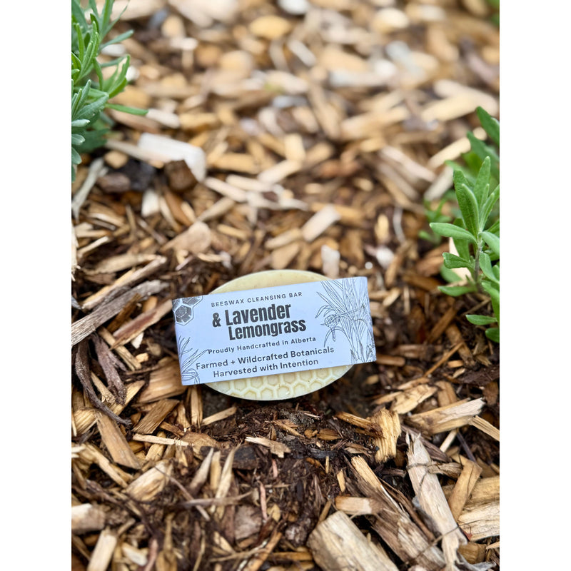 Lavender & Lemongrass Bar Soap