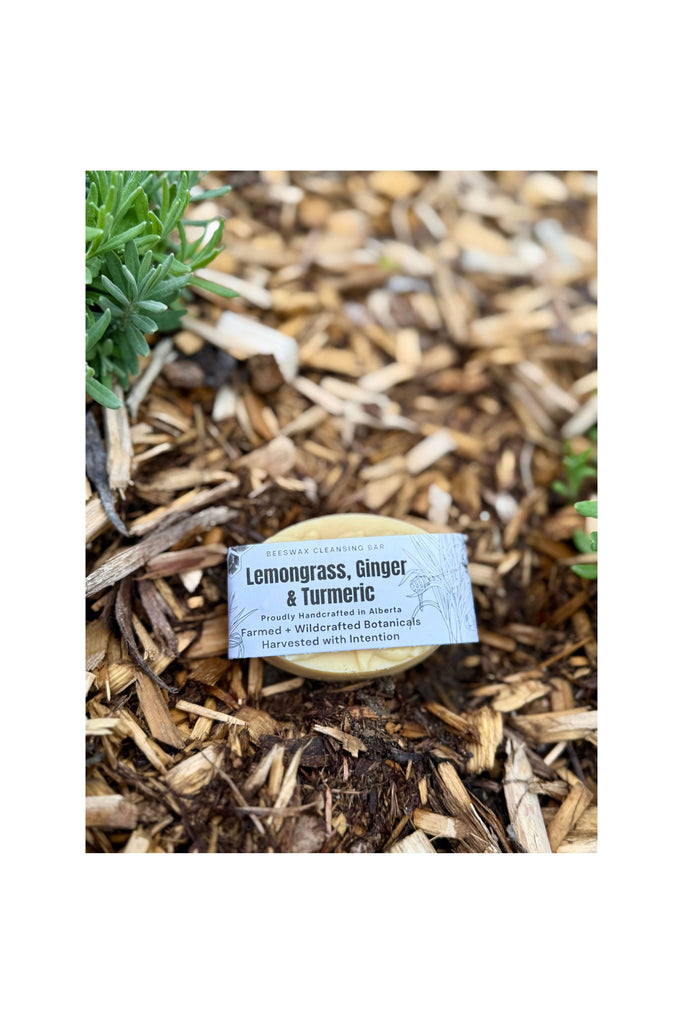 Dim Gray Lemongrass + Ginger + Turmeric Bar Soap
