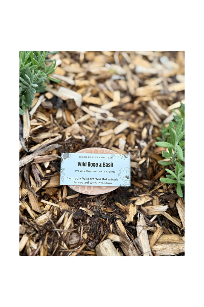 Rosy Brown Wild Rose & Basil Bar Soap