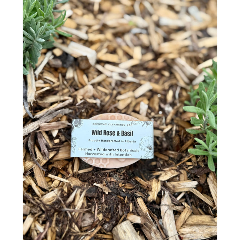 Wild Rose & Basil Bar Soap