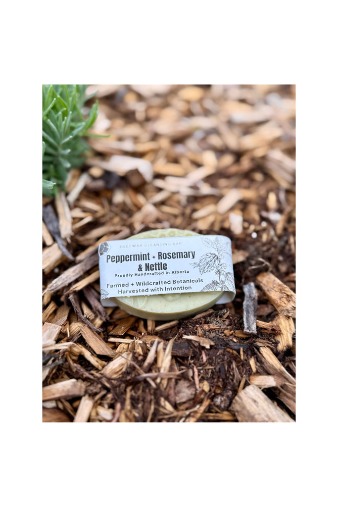 Rosy Brown Peppermint,  Rosemary & Nettle Soap