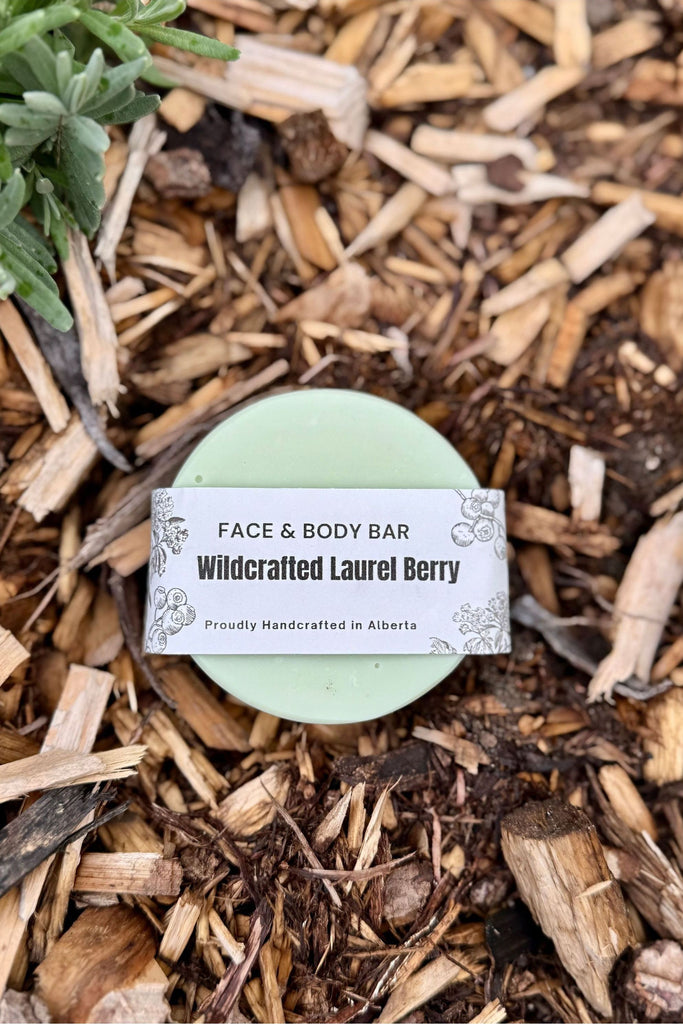 Dim Gray Laurel Berry Face Soap