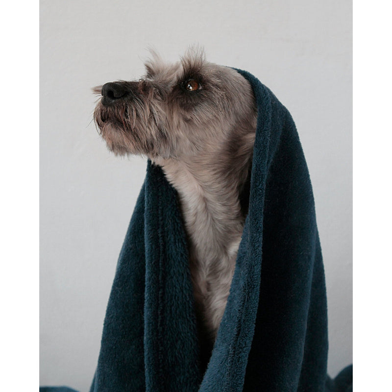 Pet Shampoo Bar