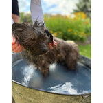 Pet Shampoo Bar