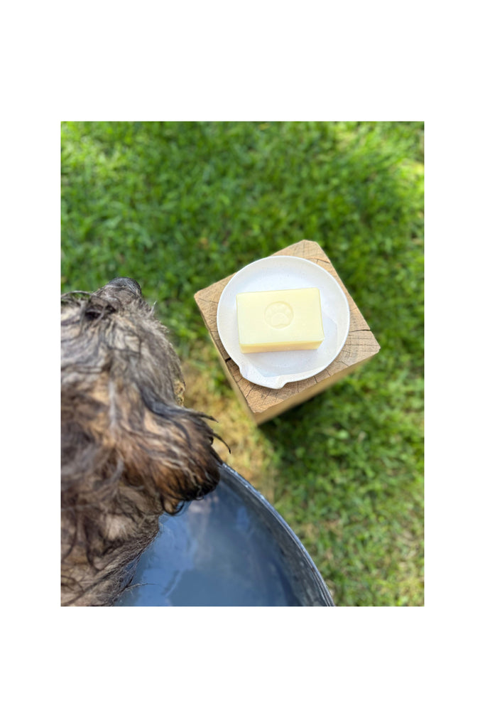 Dark Olive Green Pet Shampoo Bar