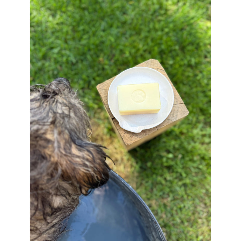 Pet Shampoo Bar