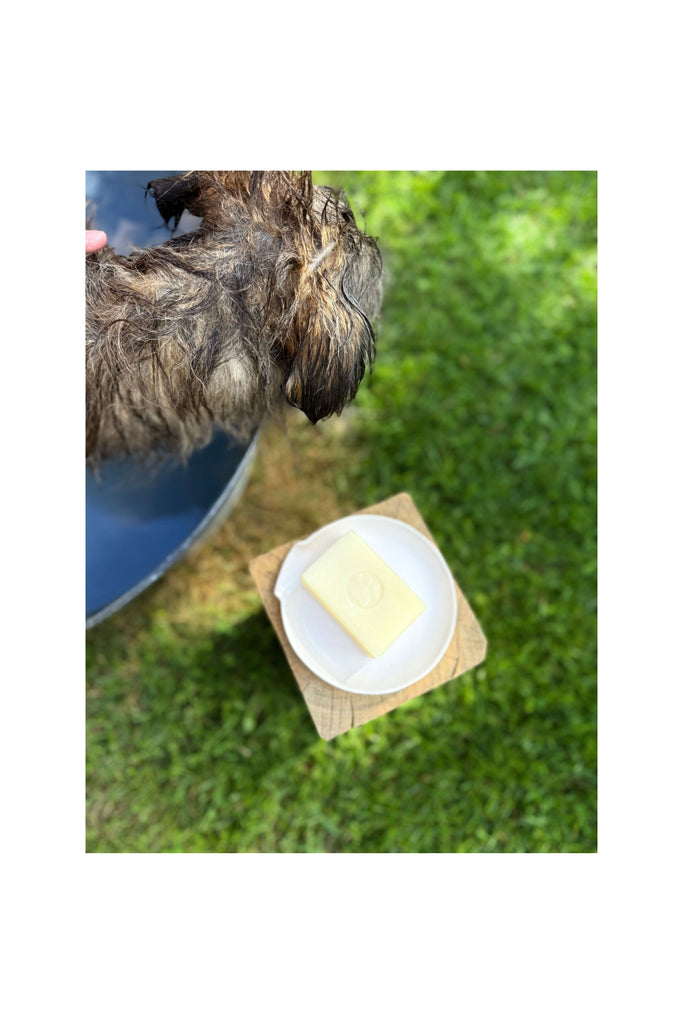 Dark Olive Green Pet Shampoo Bar