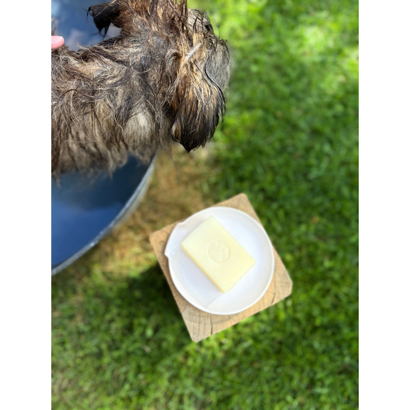 Pet Shampoo Bar