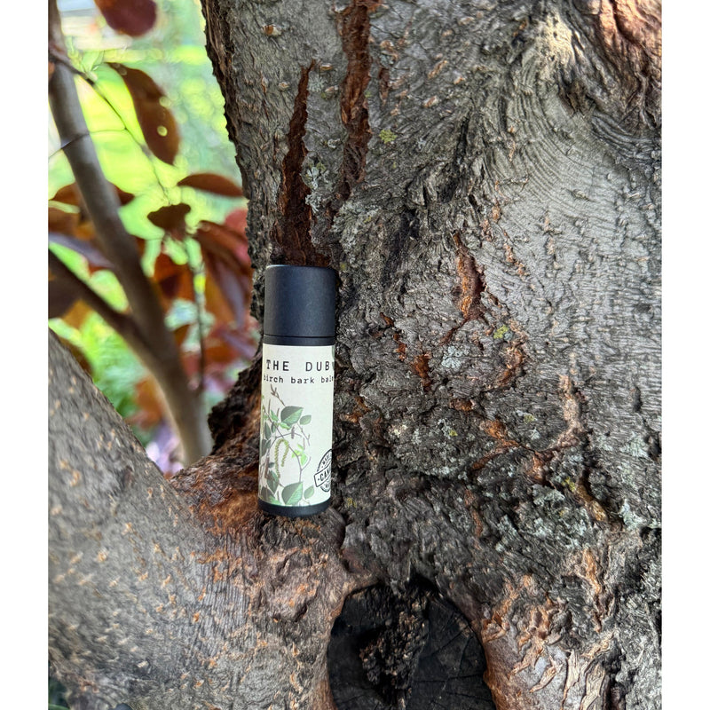 Birch Bark Lip Balm