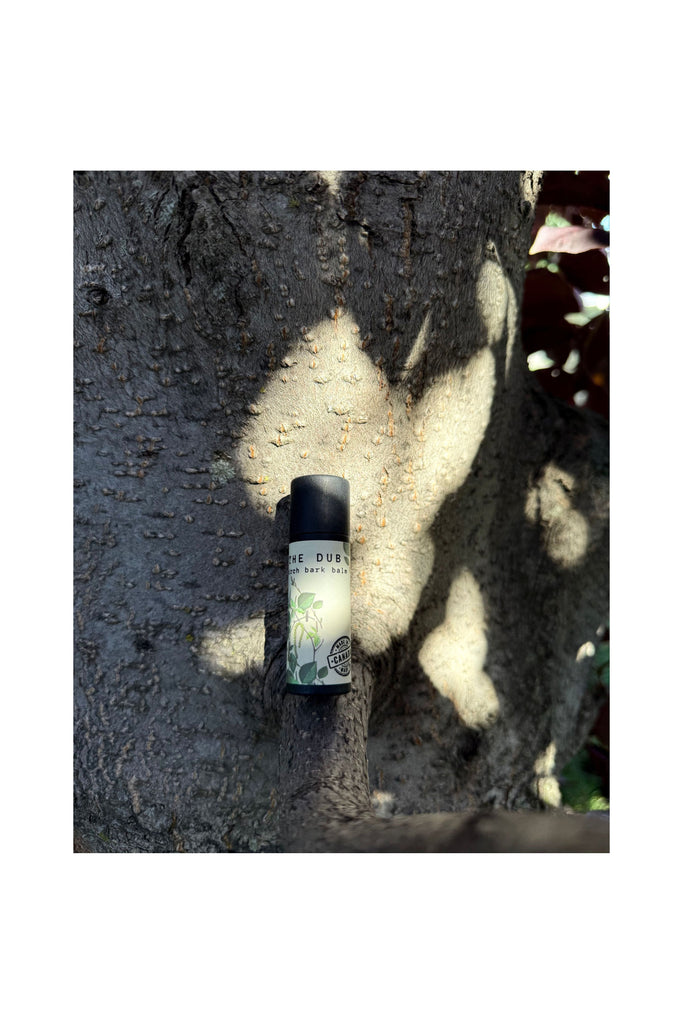 Dark Slate Gray Birch Bark Lip Balm